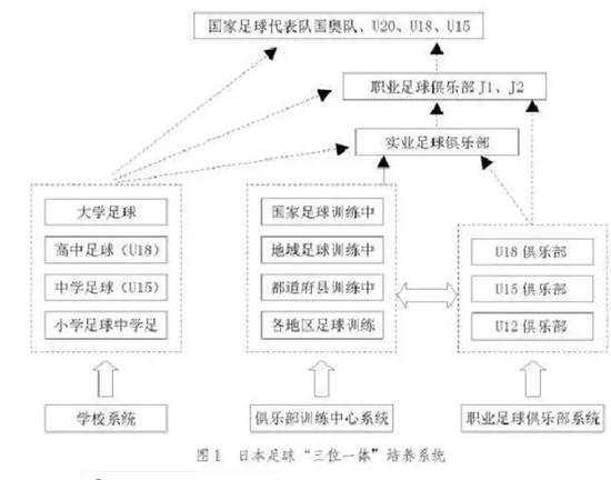 双轨制下，三位一体的培养系统