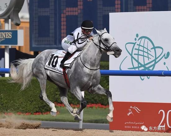 ▲图/Meydan Racing，Tallaab Al Khalediah