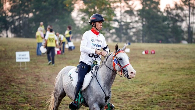 世界马术运动会中国骑手登场