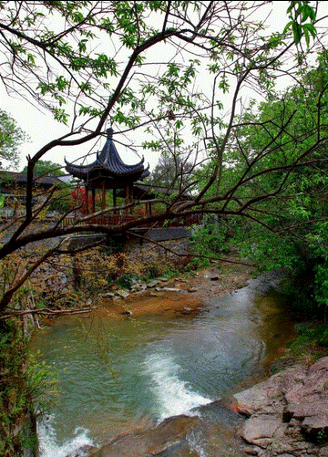 体验油菜花马拉松：人间四月天 相约油菜花田