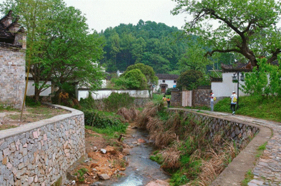 体验油菜花马拉松：人间四月天 相约油菜花田