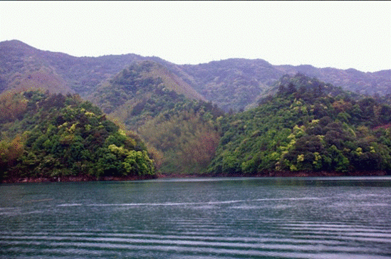 体验油菜花马拉松：人间四月天 相约油菜花田