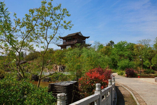 体验油菜花马拉松：人间四月天 相约油菜花田