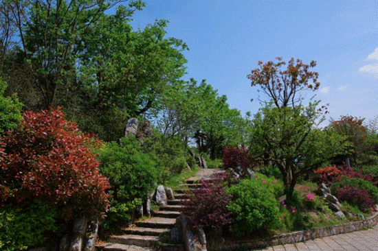 体验油菜花马拉松：人间四月天 相约油菜花田