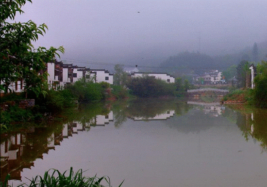 体验油菜花马拉松：人间四月天 相约油菜花田