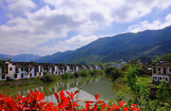 体验油菜花马拉松：人间四月天 相约油菜花田