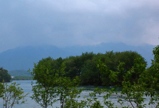 体验油菜花马拉松：人间四月天 相约油菜花田