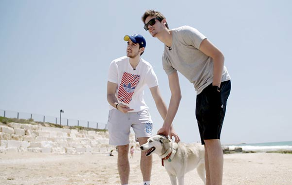 来自克罗地亚的飞鸟 他能否在NBA自由翱翔?_