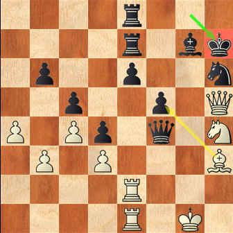 拉脱维亚高官力克棋后侯逸凡 拉脱维亚高官力克棋后侯逸凡