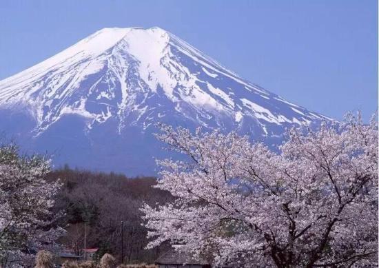 网络赌博是真的假的 - 崇州新闻网