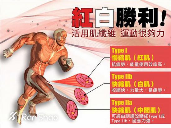 （图：网络）