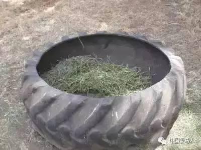 轮胎