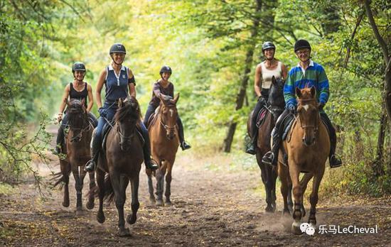 242个赛马场70万注册骑手!法国马主题小镇连