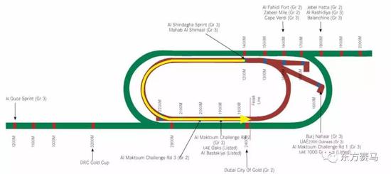 ▲图/AdvantageWagering，迪拜金莎轩锦标赛赛道图