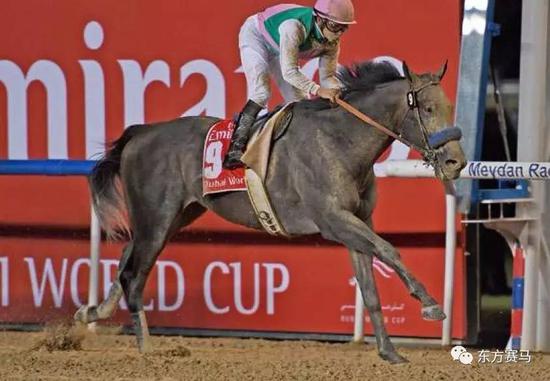 奖金过1亿!美国飞马世界杯总奖金为何那么多?