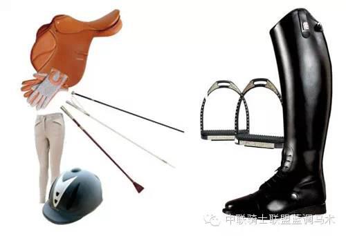 怎样选择马术俱乐部?学习之前你需要知道什么