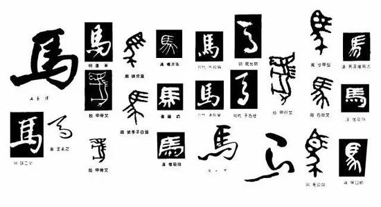 谷雨 祭仓颉 :仓颉造字与 马 字演变的渊源_马术