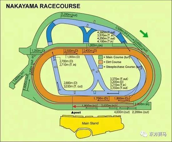 ▲图/Horse Racing in Japan