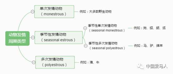  ▲ 动物发情周期的类型