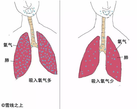 人体吸入的氧气最终到达的部位和参与的生命活动分别是( )a.