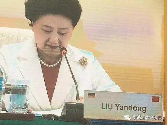 中德人文交流会举办李铁出席足球 德国众足球