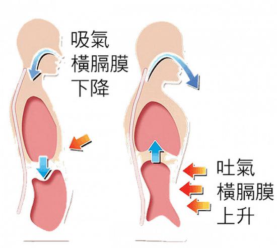 如果你从未尝试过腹式呼吸，可以依下列步骤开始练习：