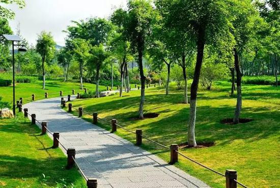 ɭֹ԰鴫ɭïܿ¡Ϊ·һֻѾܶȥǻѾֻѾ2.1kҡ