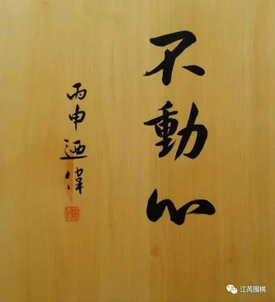 柯洁和阿尔法狗谁赢了