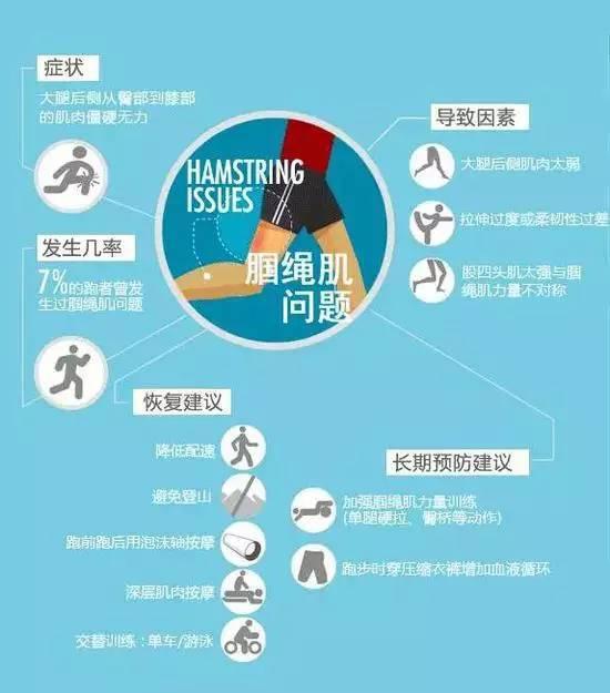 腘绳肌位于大腿后部,弯曲膝盖、伸腿、爬坡和射门时全靠这些肌肉。腘绳肌问题常常发生是因为这些肌肉比较弱。