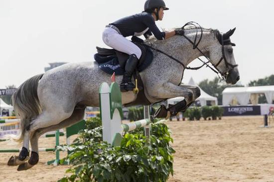 新浪全程视频直播!2017中国马术巡回赛北京站