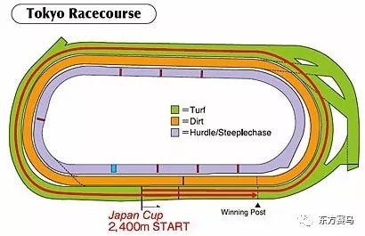 　　▲图/Horse Racing in Japan