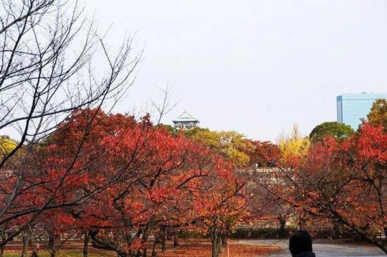 @ 大阪马拉松起跑点大阪城公园