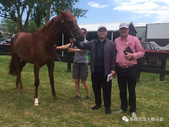 两天豪掷1亿4千多万!新西兰纯血马拍卖会创新高