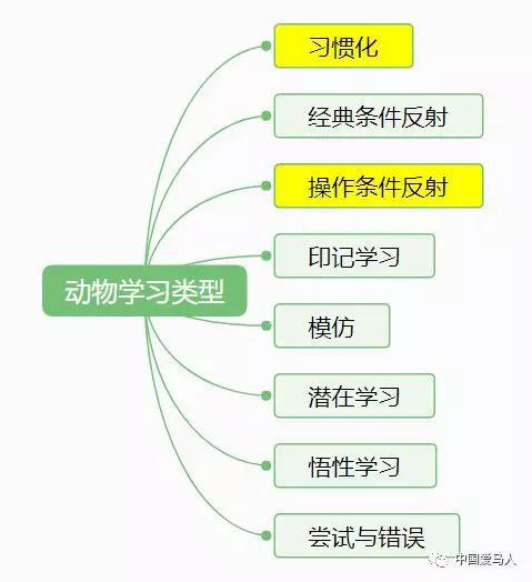 动物学习行为的种类