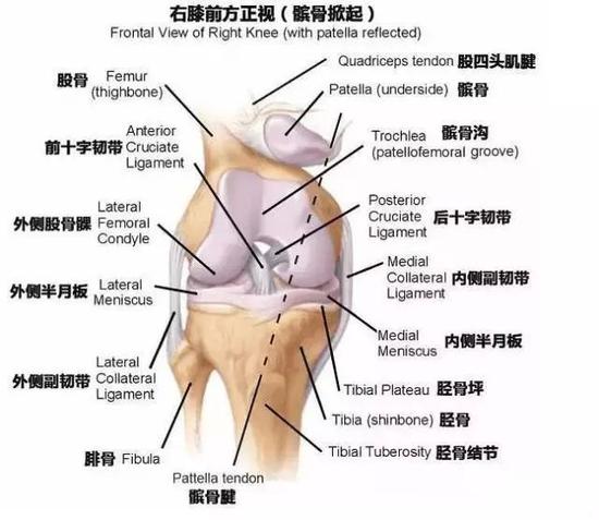这份膝盖伤病自检指南 每个人都需要