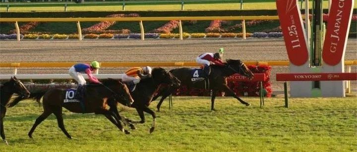 日本杯(Japan Cup)
