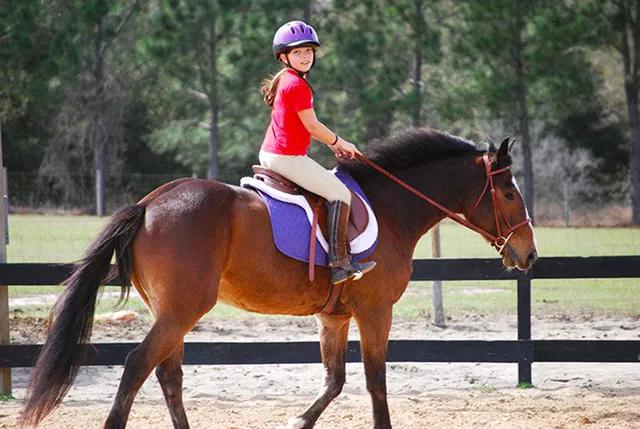 图片来源于网络