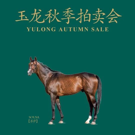 �����＾�������ֲ�ʢ������