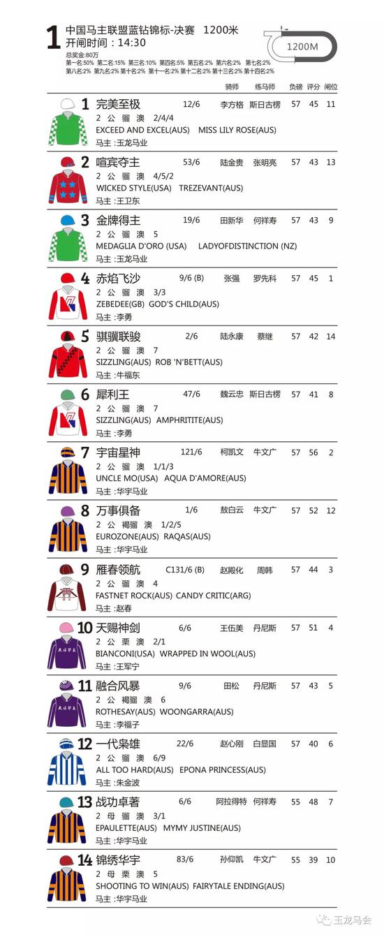 第二场 中国马主联盟2019众里杯赛