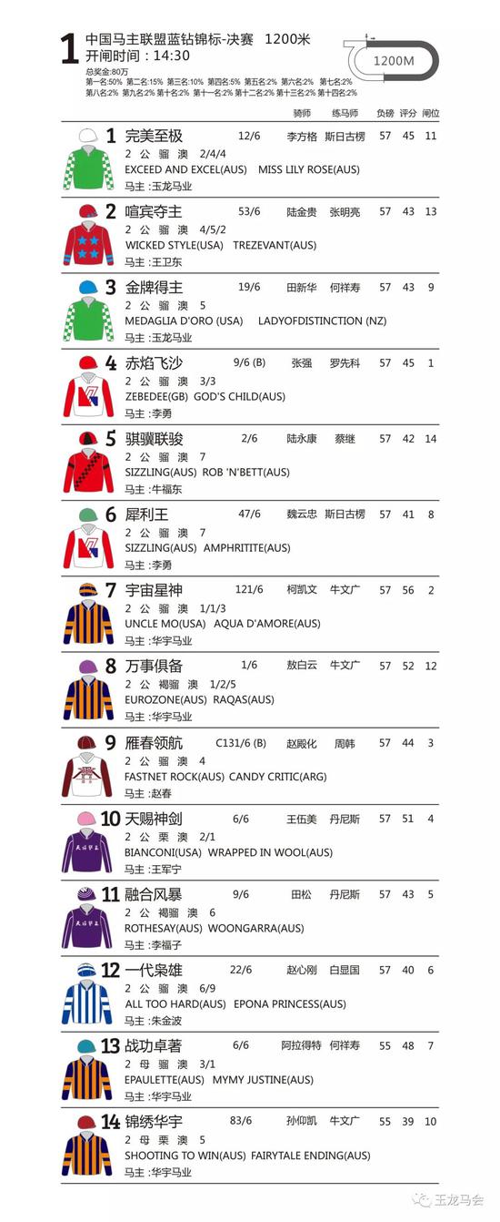 第二场 中国马主联盟2019众里杯赛