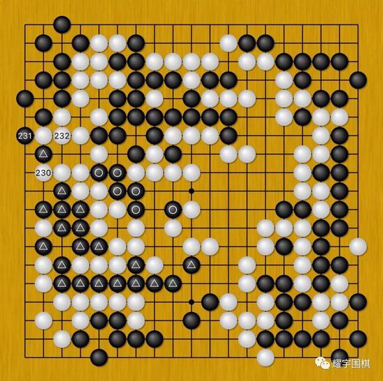 图15:面对黑229(三角一子)二路夹,白230只能放黑棋231先手渡过。