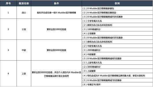 各级别称谓所需条件及对应的权利