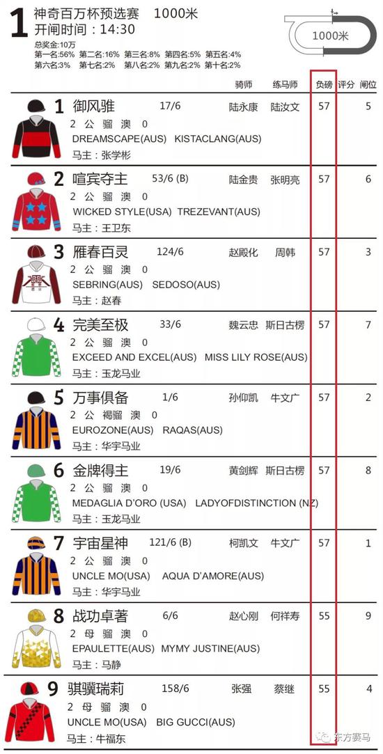 ▲图/玉龙马会，2019玉龙开锣赛的马匹负磅