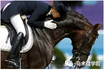 为什么马术被追捧为“贵族运动”?