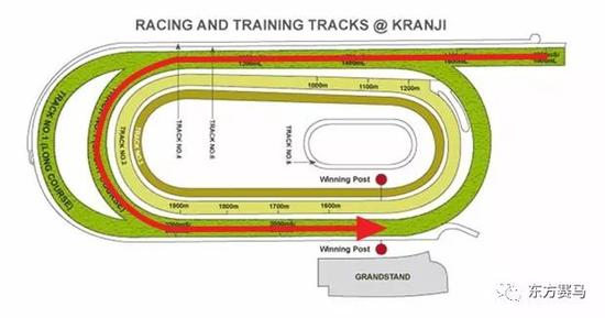 ▲图/Kranji Racecourse