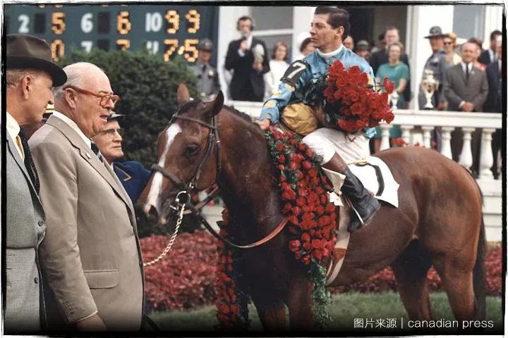 Northern Dancer 北方舞蹈家