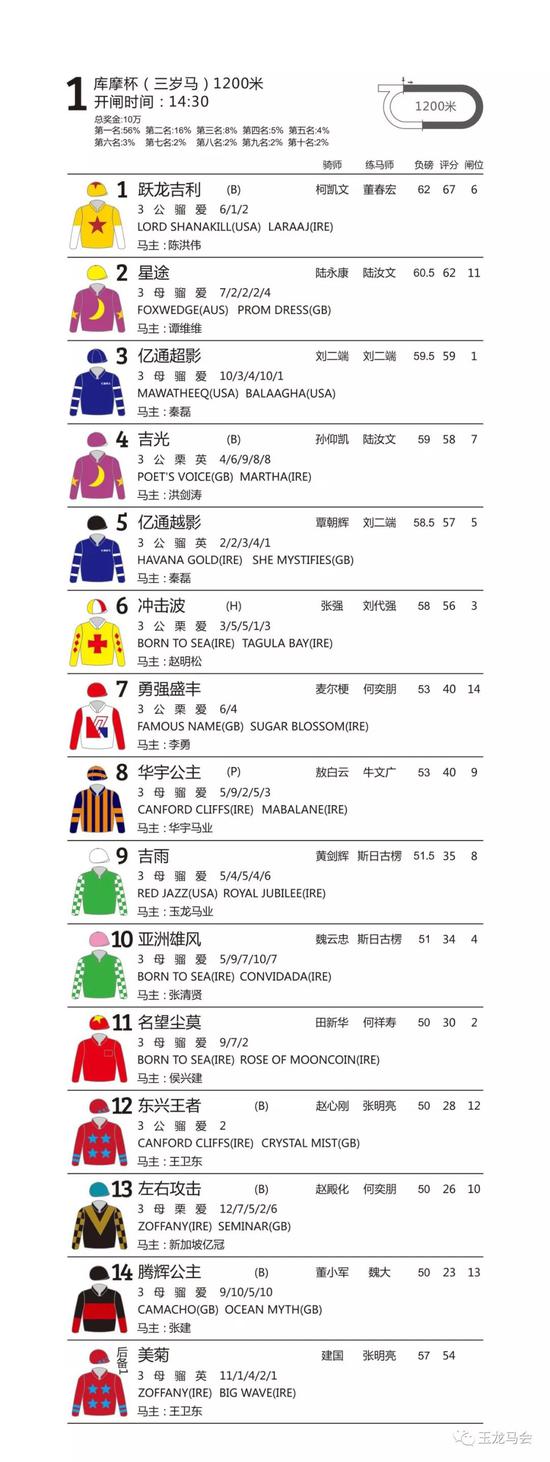 本周六新浪马术直播「玉龙国际赛马公开赛2018」爱尔兰比赛日