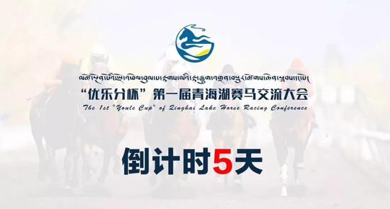 倒计时五天 第一届青海湖赛马交流大会8月23日开赛