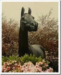 它的名字叫红朗姆