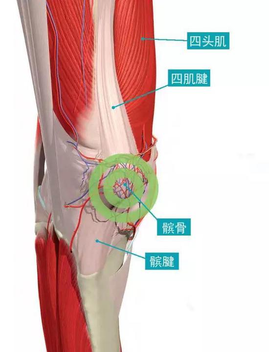 发生了什么?